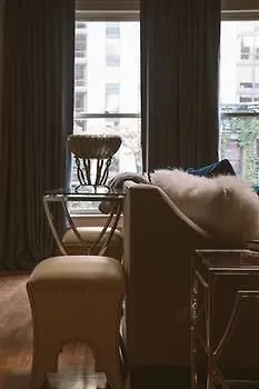 Hotel Celeste Celebrity *